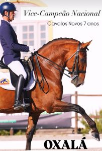 Imagem WhatsApp 2025-10-14 às 13.13.27_4039d9b0